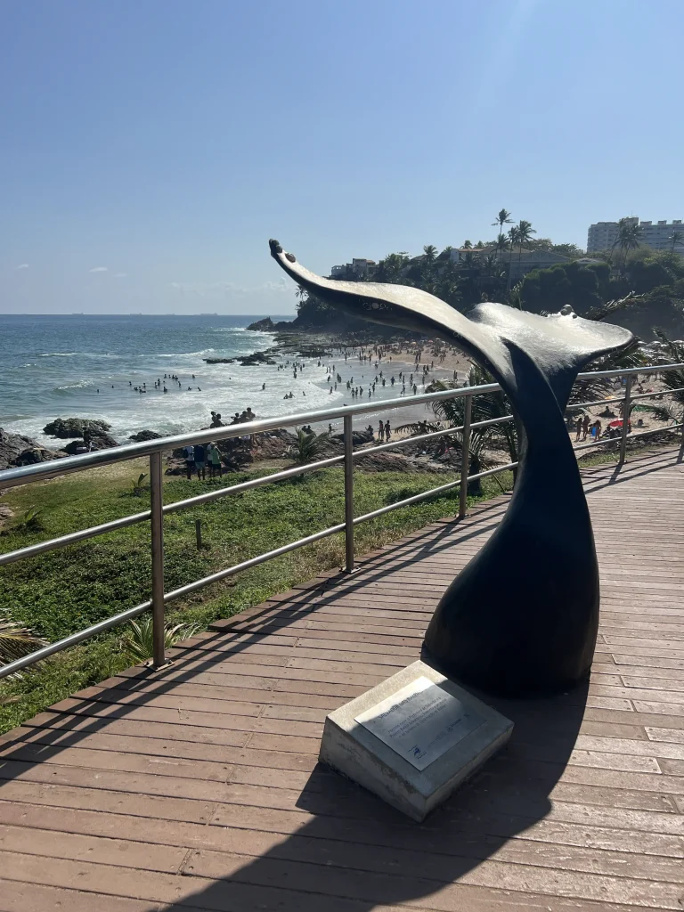 Voyage Bahia
